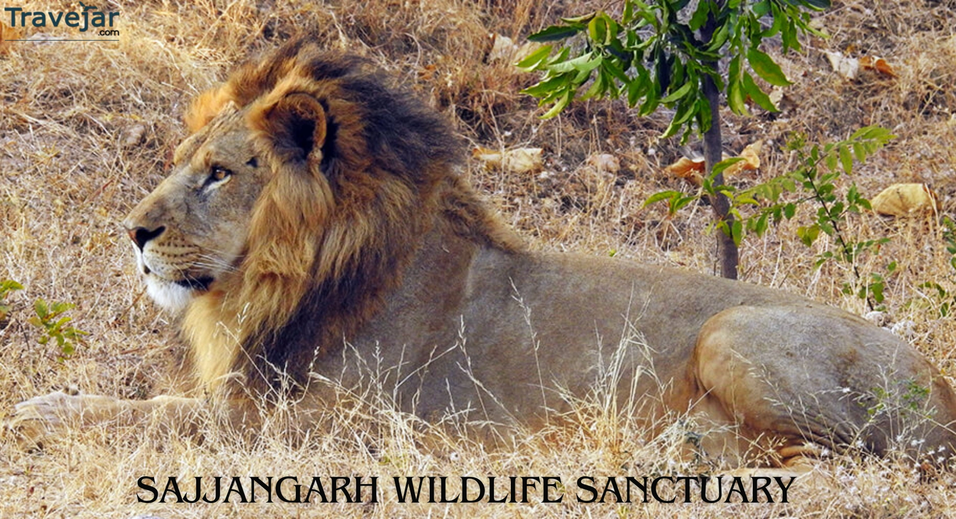 Sajjangarh Wildlife Sanctuary